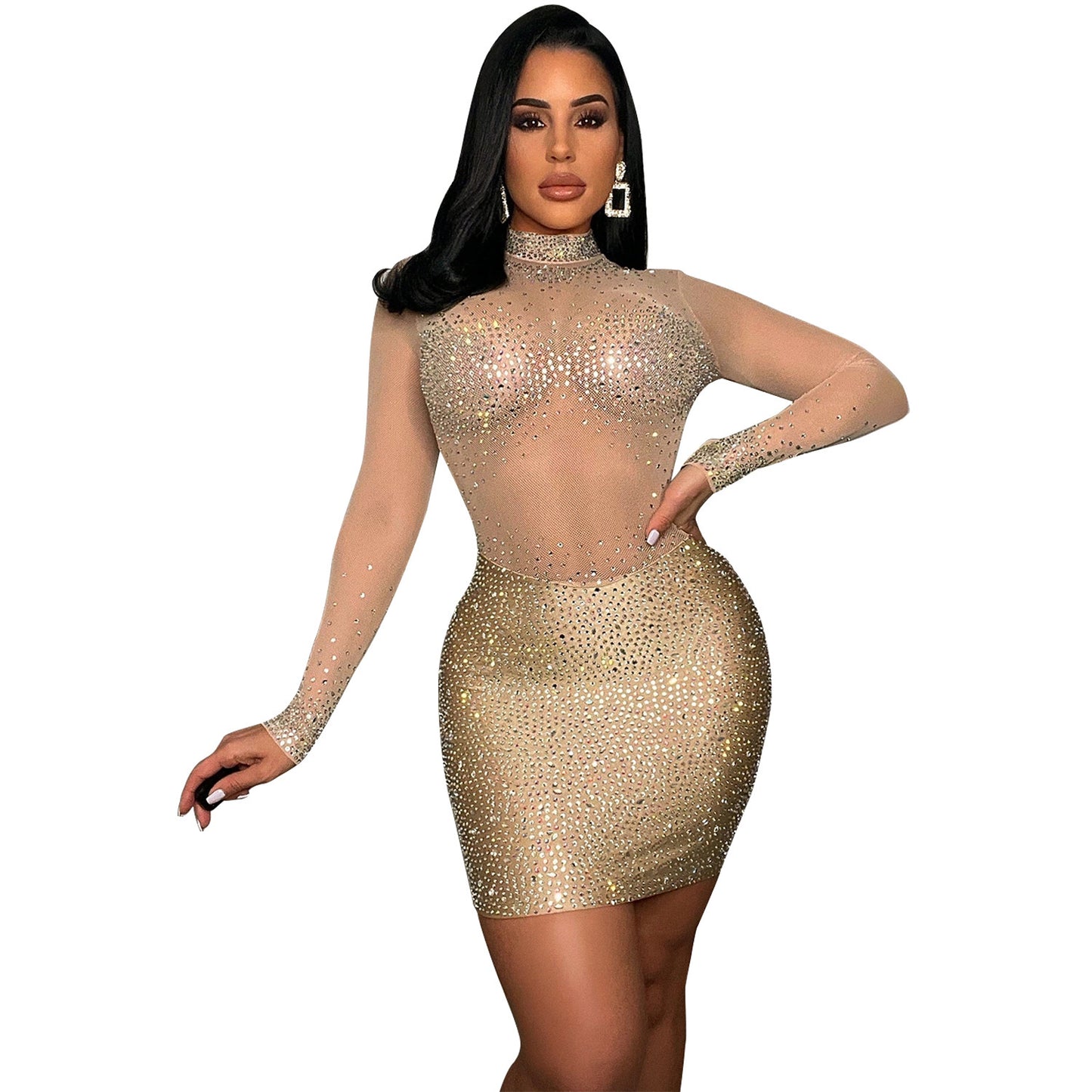 Women's Fashion Mesh Long Sleeve Dress